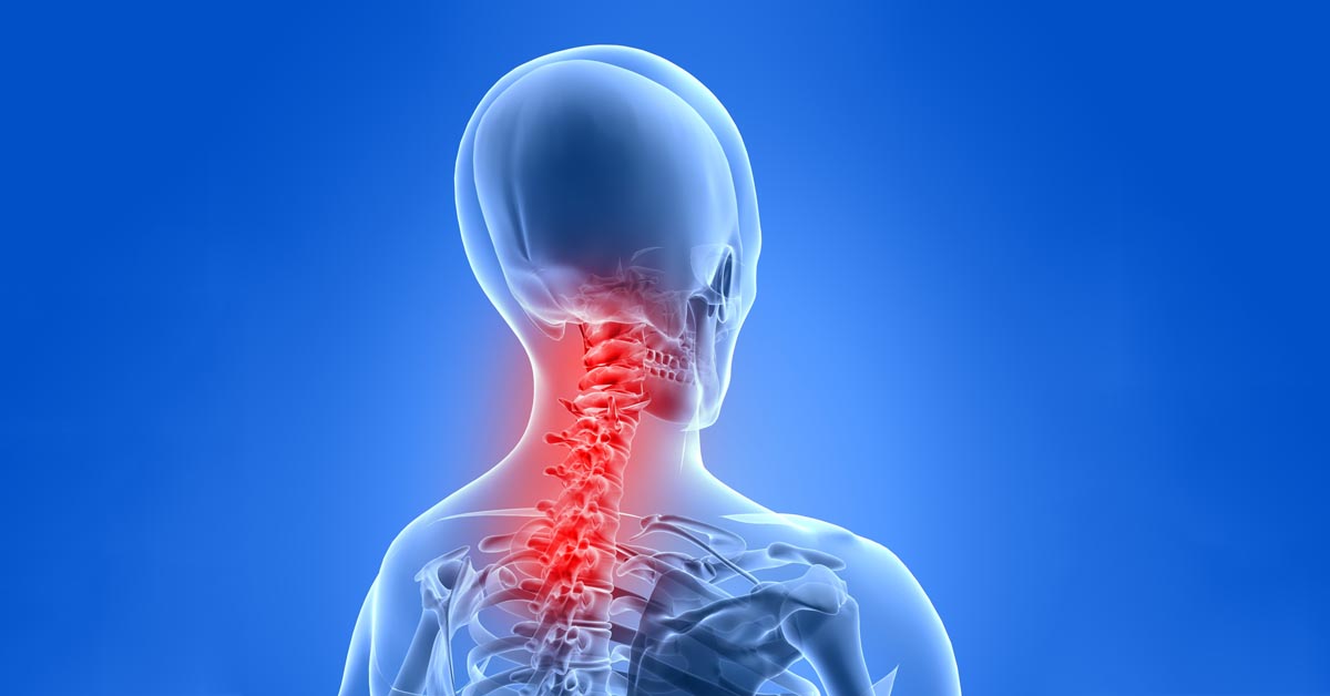 Chiropractic Reno, NC